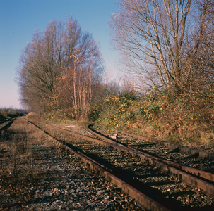 852474 Afbeelding van de overgroeide sporen tussen het terrein van de voormalige Spoorstaaflasinrichting (SLI) van de ...